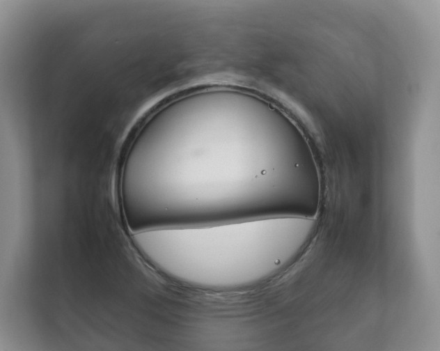 X0000111881272200907231420