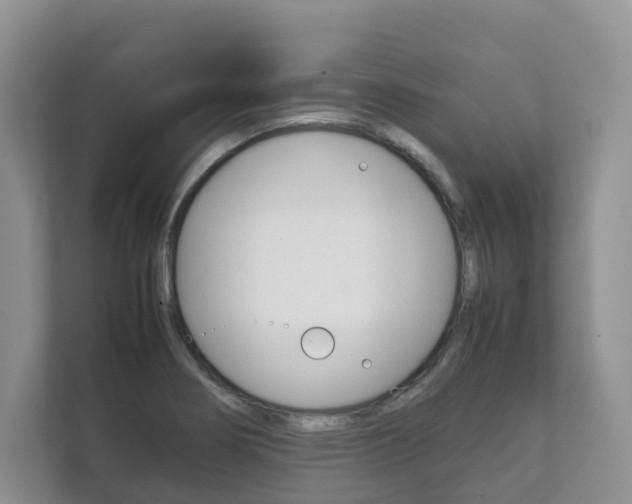 X0000111881274200907231419