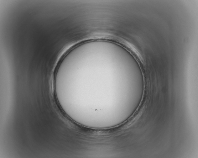X0000111881275200907231419