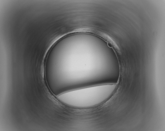 X0000111881276200907231419