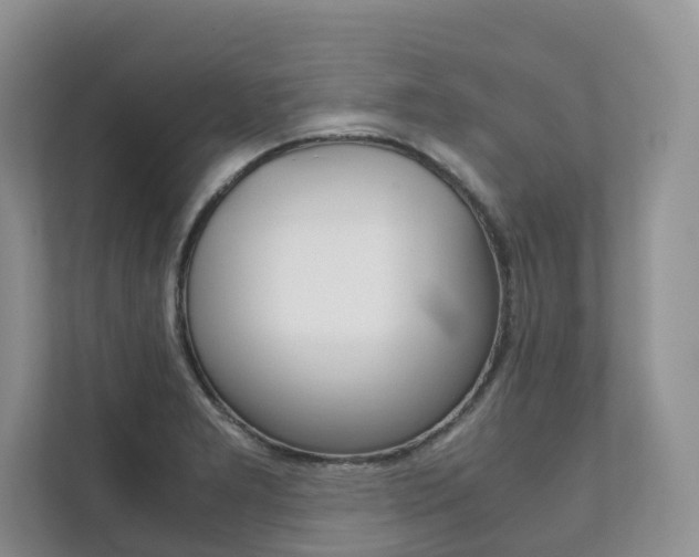 X0000111881277200907231419