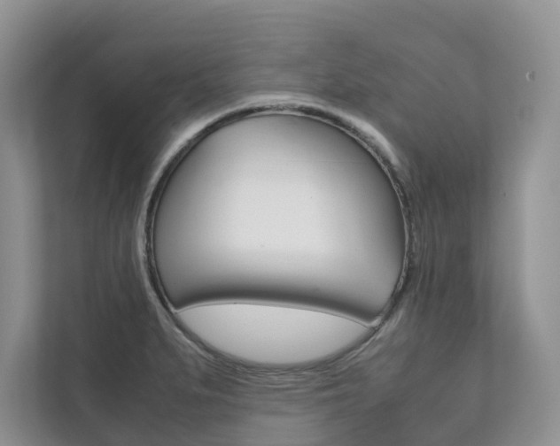 X0000111881279200907231419