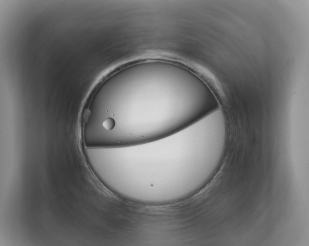 X0000111881280200907231419