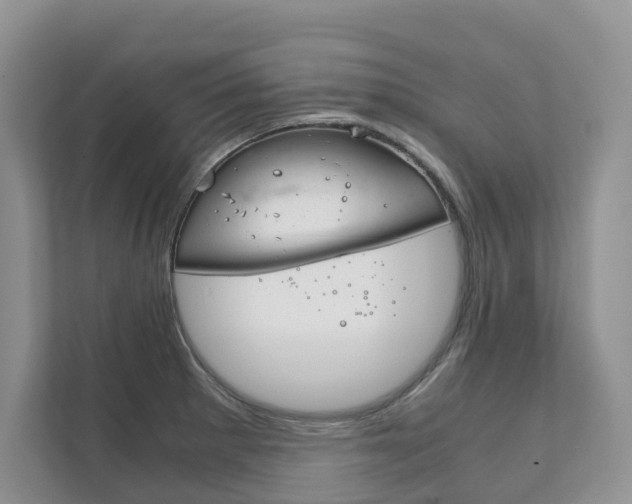 X0000111881281200907231419