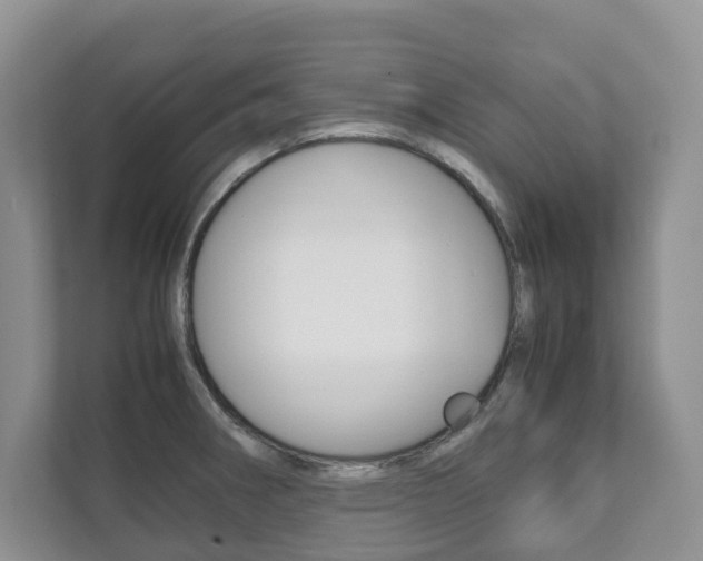 X0000111881282200907231419