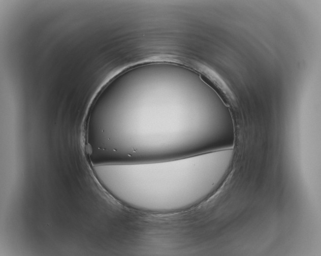 X0000111881284200907231419