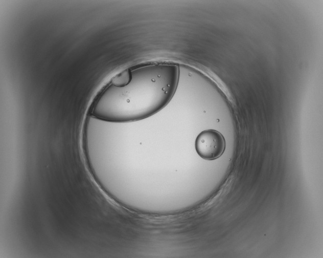 X0000111881285200907231419