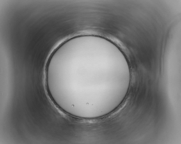 X0000111881286200907231419
