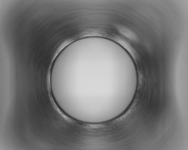 X0000111881290200907231419