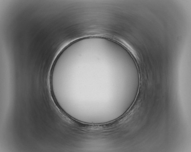 X0000111881291200907231419