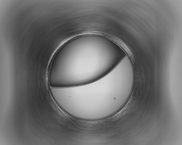 X0000111881292200907231419