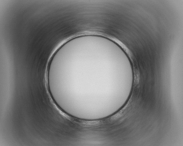 X0000111881294200907231419