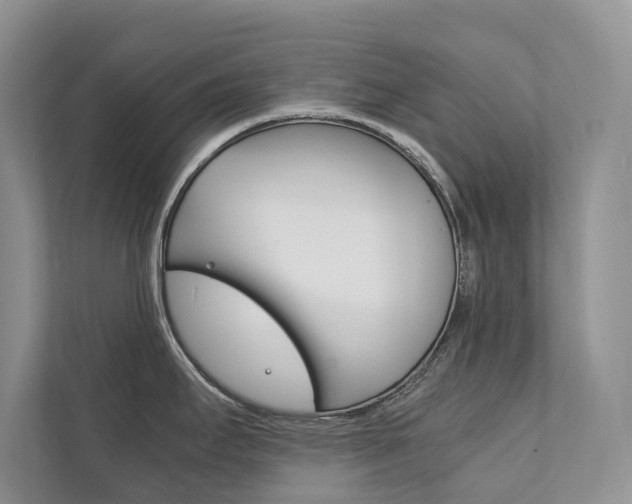 X0000111881295200907231419