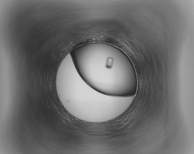 X0000111881298200907231419