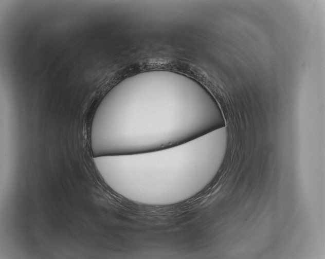 X0000111881299200907231419