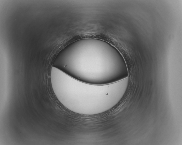 X0000111881300200907231419