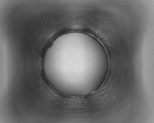 X0000111881301200907231419