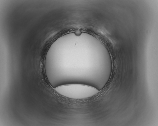 X0000111881302200907231419