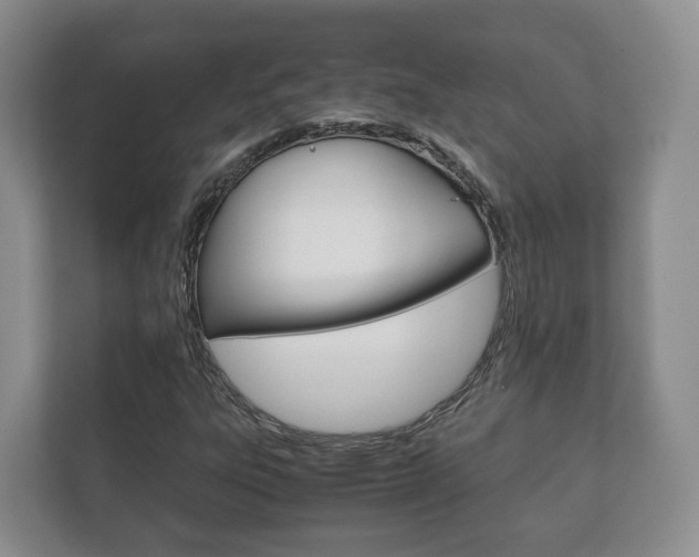 X0000111881303200907231419