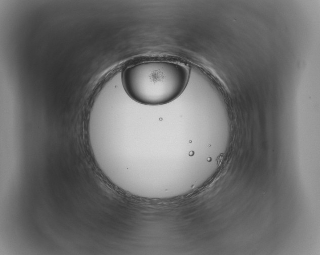 X0000111881304200907231419