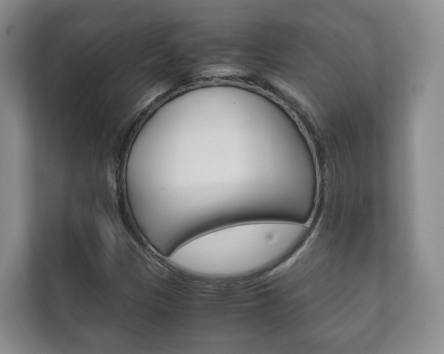 X0000111881305200907231419