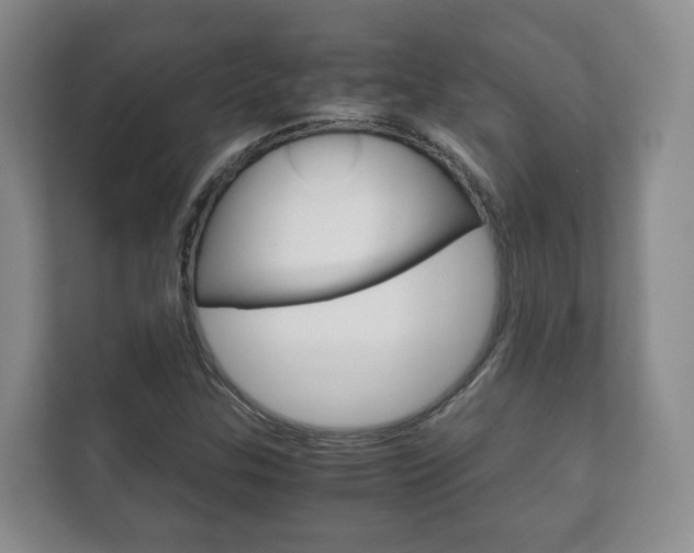 X0000111881307200907231419