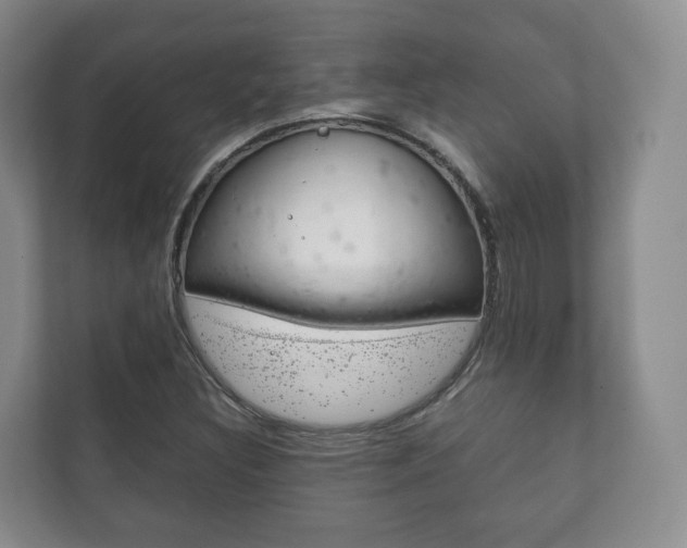 X0000111881308200907231419