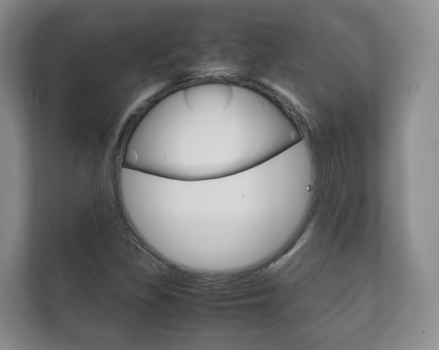 X0000111881309200907231419