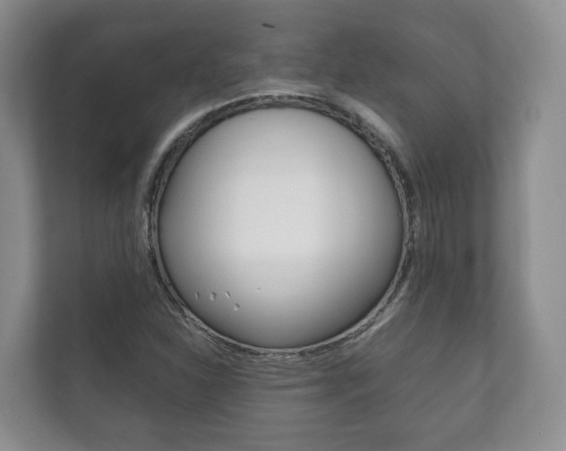 X0000111881310200907231419