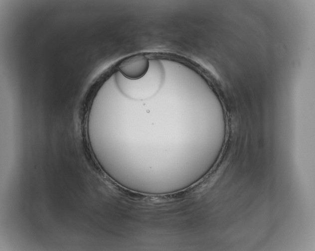 X0000111881311200907231419