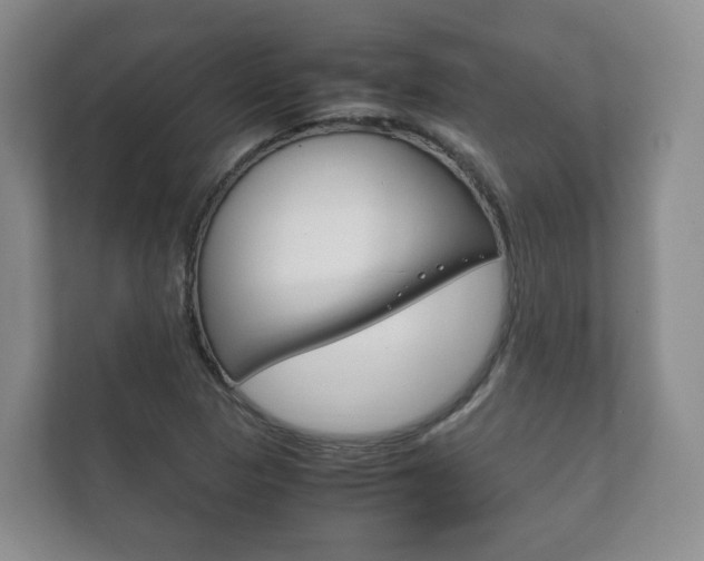 X0000111881313200907231419