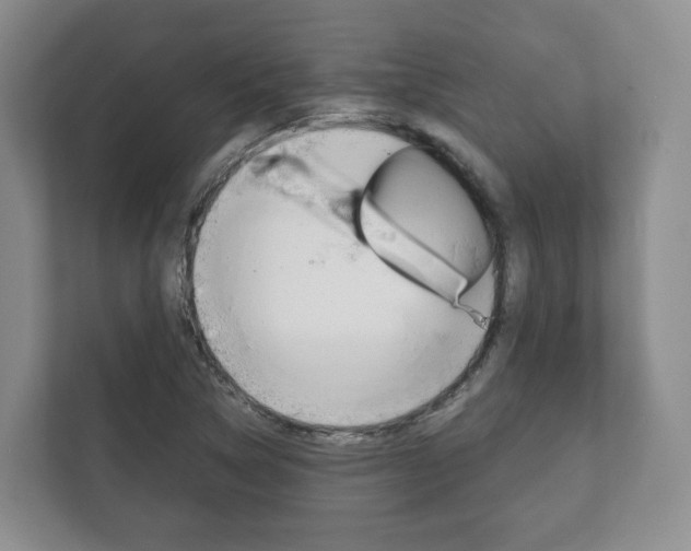 X0000111881314200907231419
