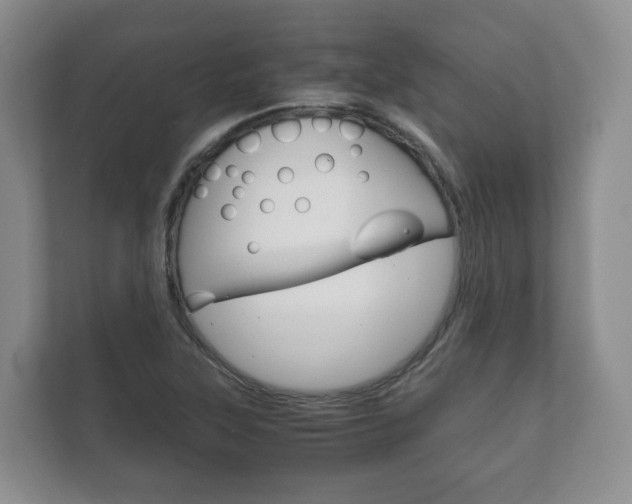 X0000111881315200907231419