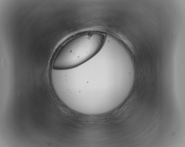 X0000111881316200907231419