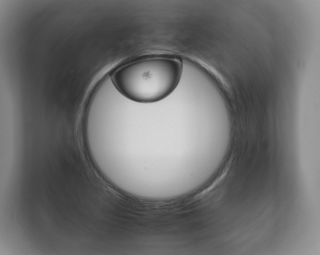 X0000111881317200907231419