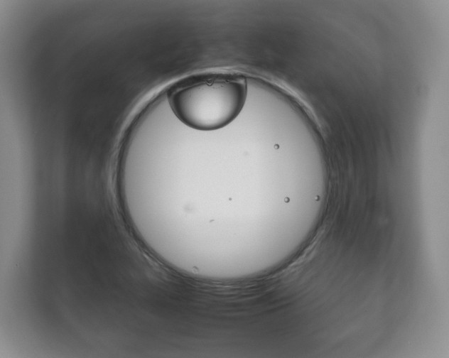 X0000111881319200907231419