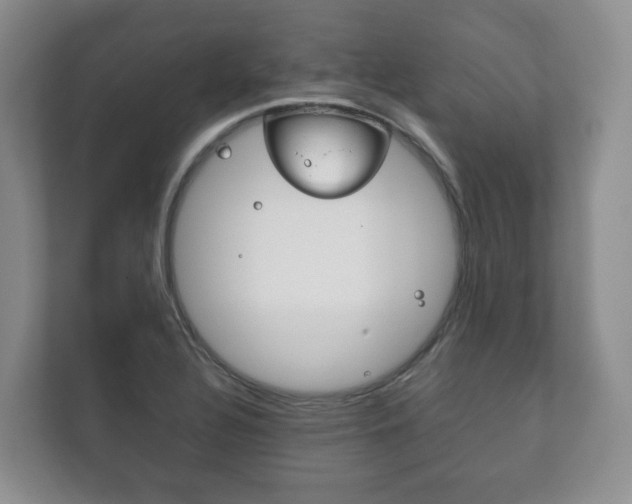 X0000111881320200907231419