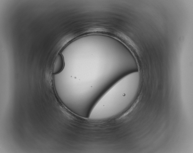 X0000111881321200907231419