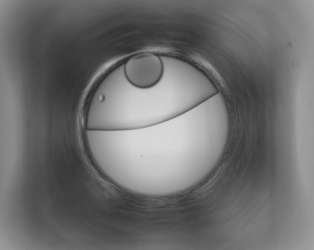 X0000111881323200907231419