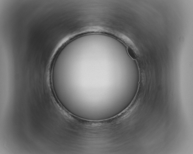 X0000111881326200907231419