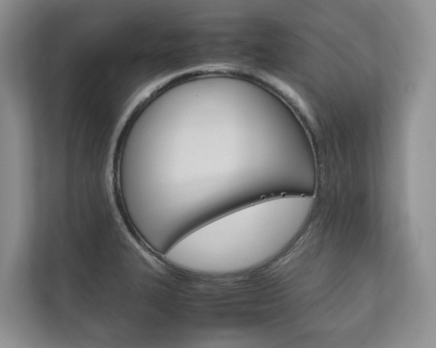 X0000111881327200907231419