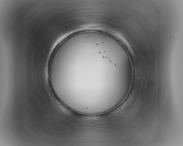 X0000111881328200907231419
