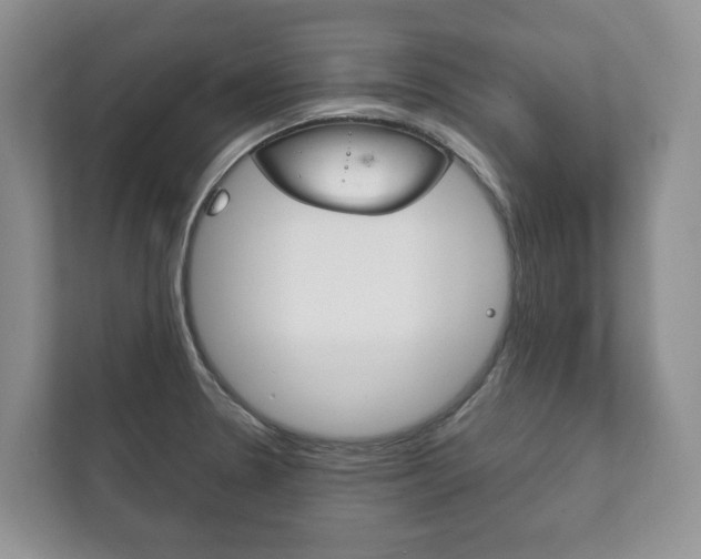 X0000111881330200907231419