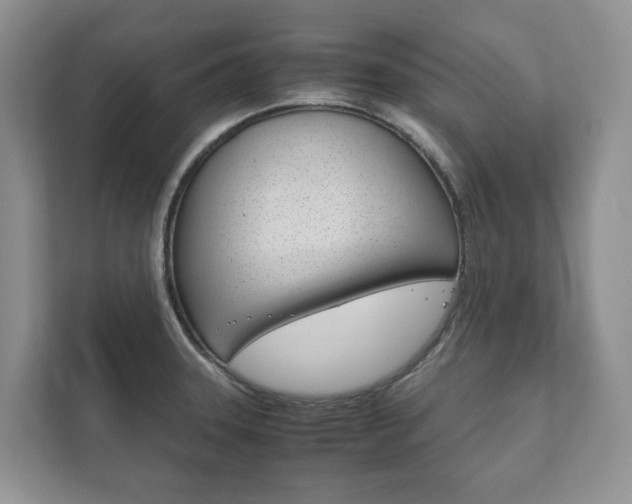 X0000111881331200907231419