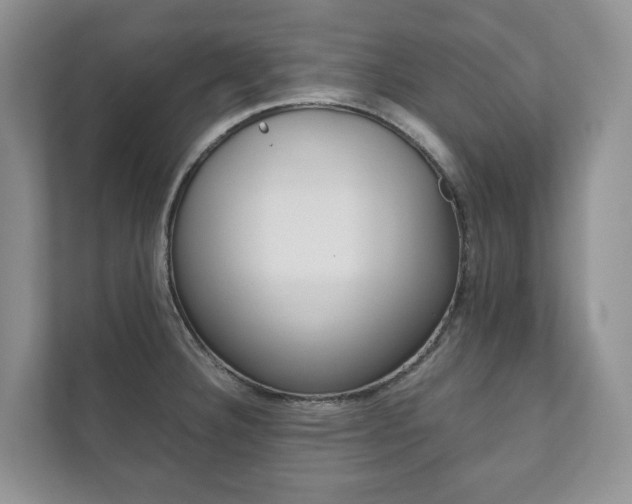 X0000111881332200907231419