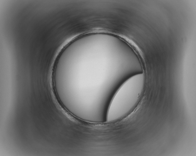 X0000111881333200907231419