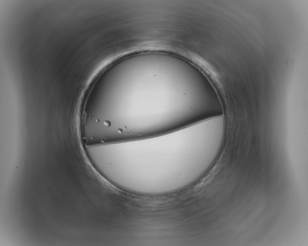 X0000111881334200907231419
