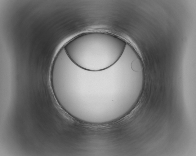 X0000111881336200907231419