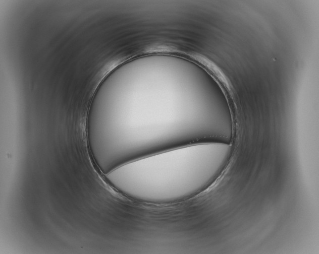 X0000111881337200907231419