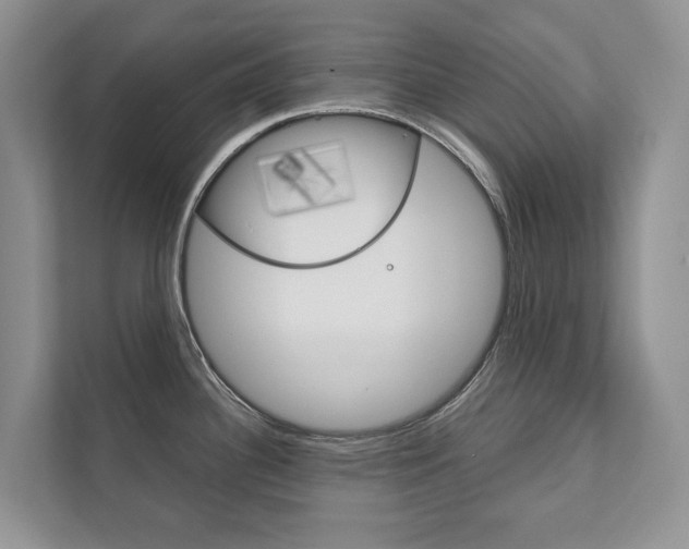 X0000111881340200907231419